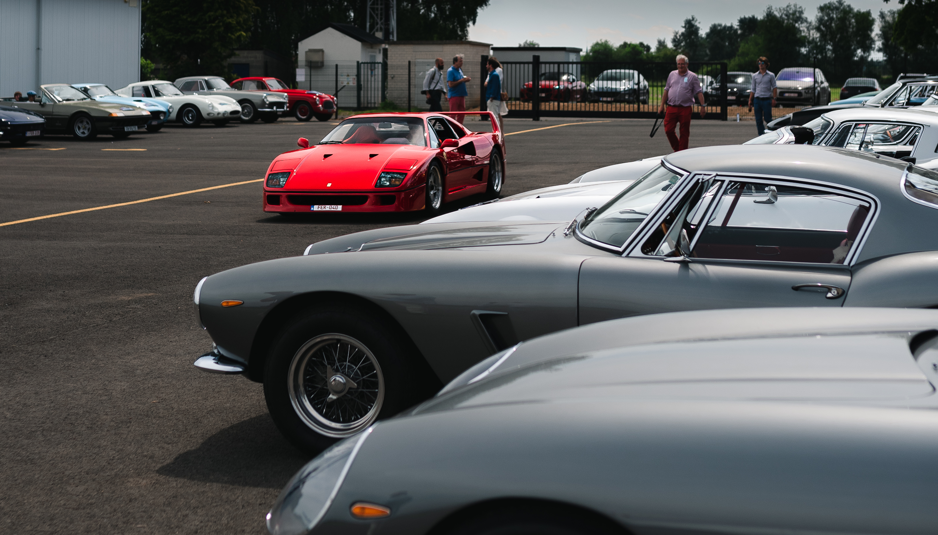 A chance encounter with an exceptional rally