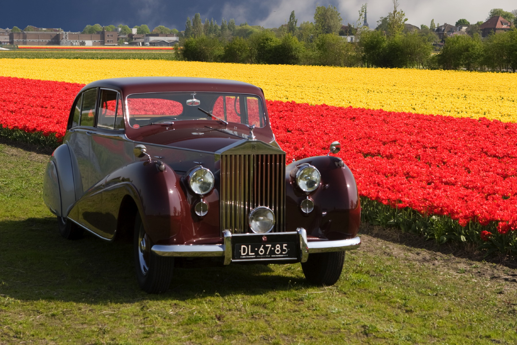 MEMBER STORY - Twaalfde Bollenrit Rotary Rijnwoude