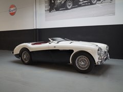 Austin Healey 100 1955