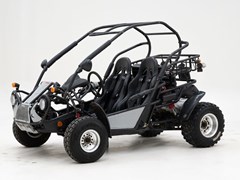 Other All Models 2009