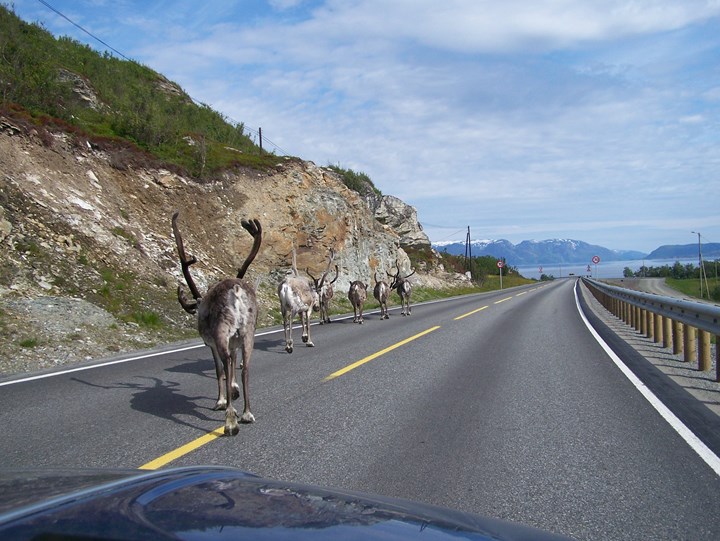 Tourrit Scandinavië